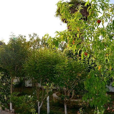 Kostas' Garden Apartment Roda  Bagian luar foto