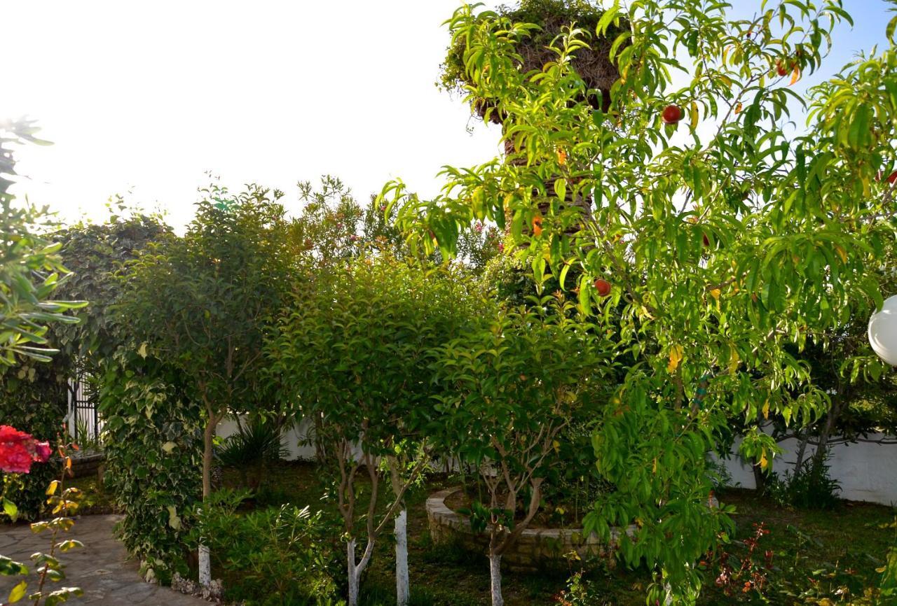 Kostas' Garden Apartment Roda  Bagian luar foto